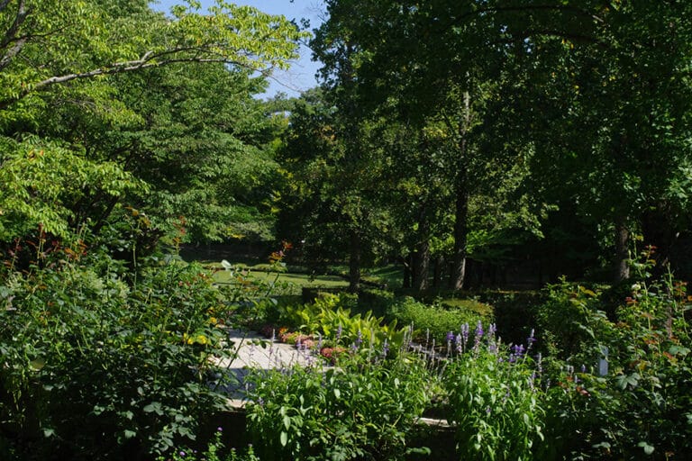 Outillage de jardin et pièces détachées motoculture : présentation de GardenGalaxie.com