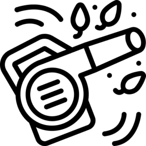 souffleur de feuilles