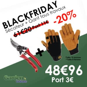 Lot BlackFriday 1 paire de gants femme T8 + 1 sécateur