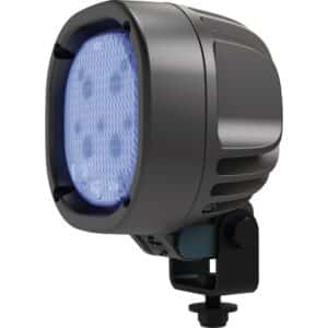 FEUX LED AVICOLE BLEUEBIRD 1010 TYRI