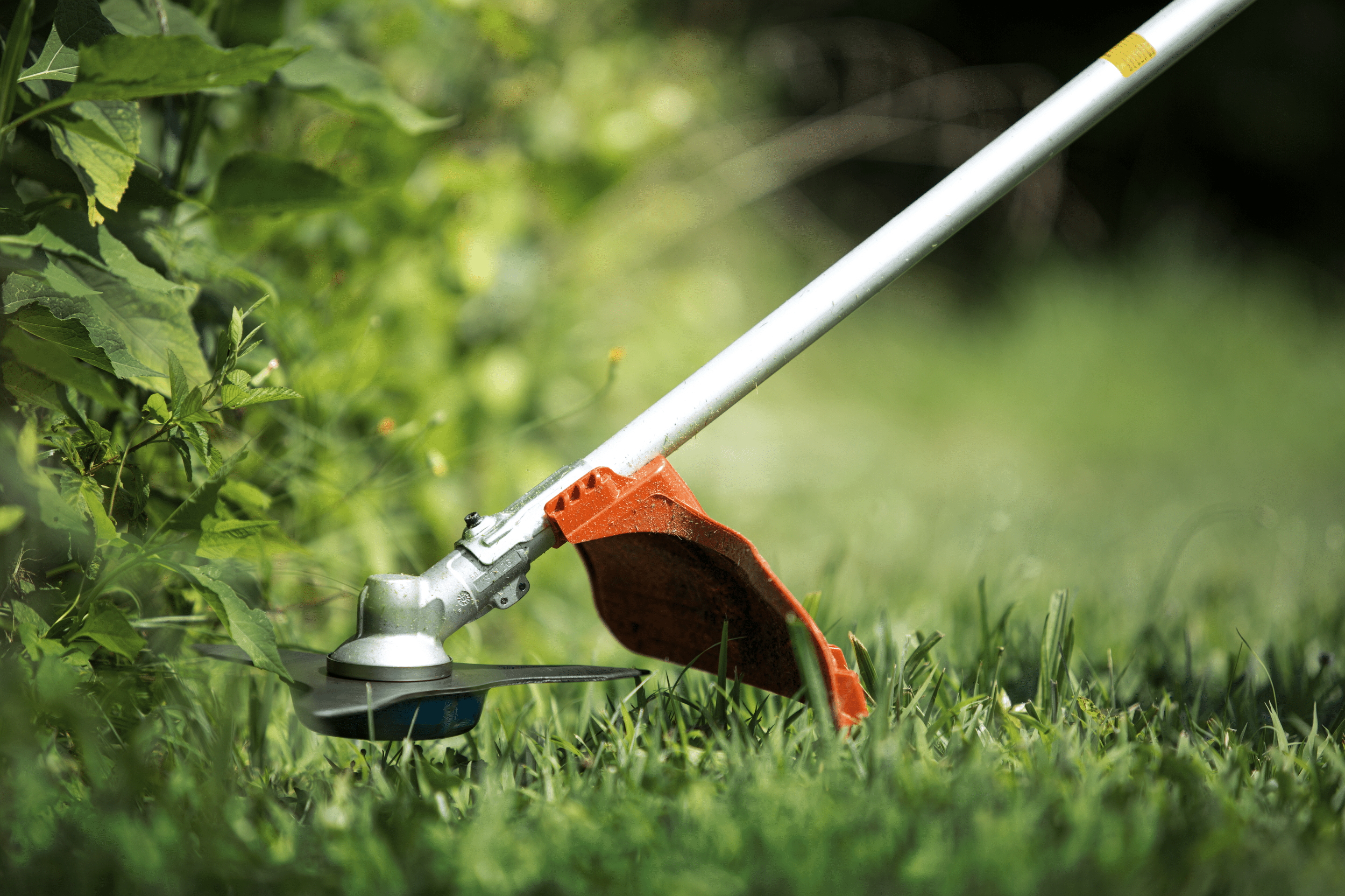 Husqvarna 325iRJ – Image 2