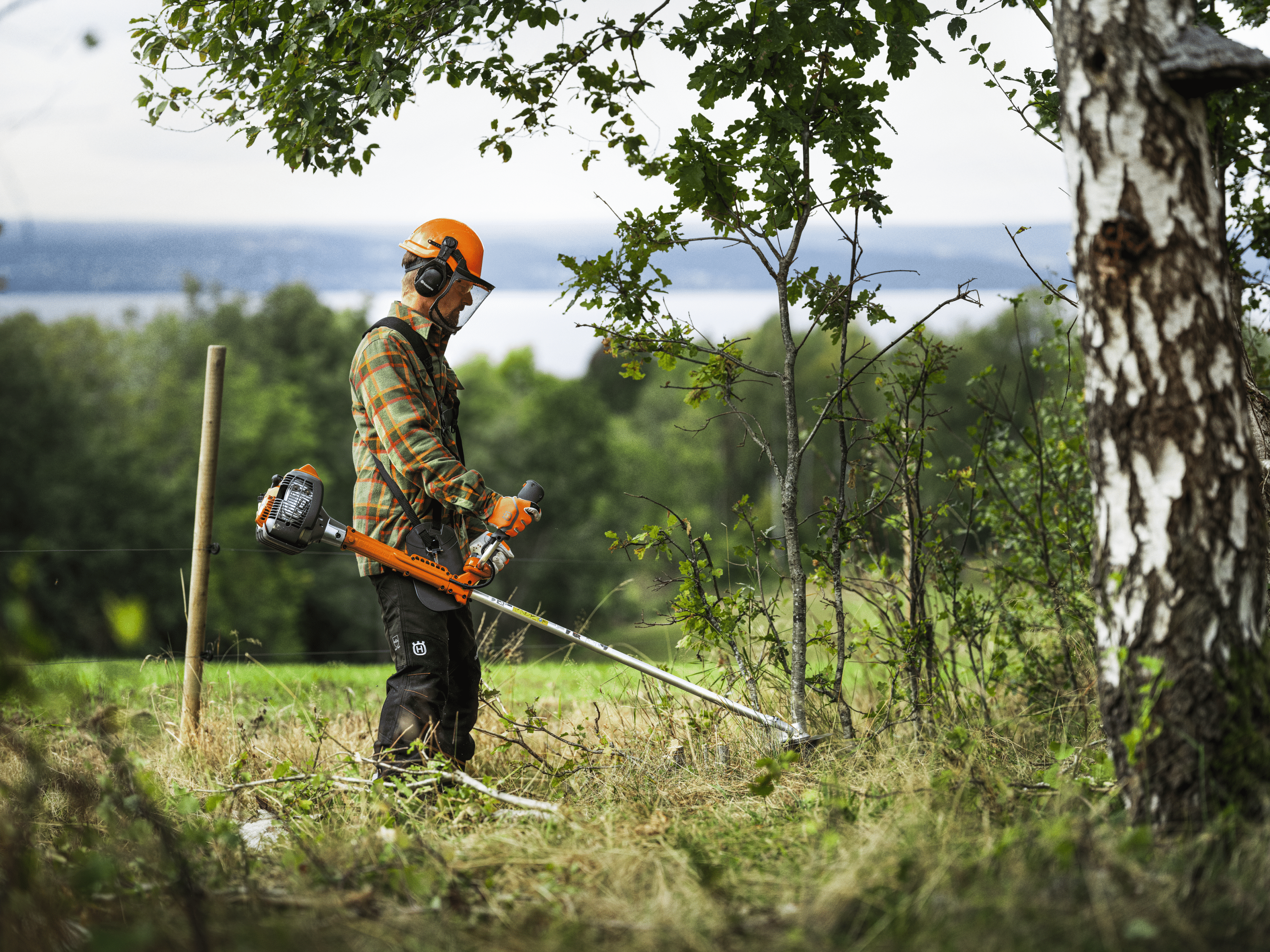 HUSQVARNA 336FR – Image 2