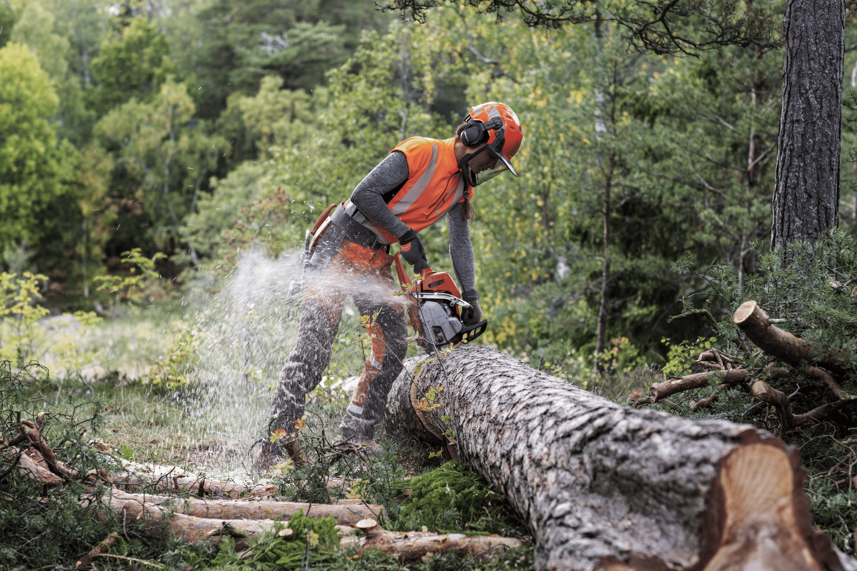 Husqvarna Chaîne X-CUT C35 .325 / 1,5 mm 56 maillons — photo 6