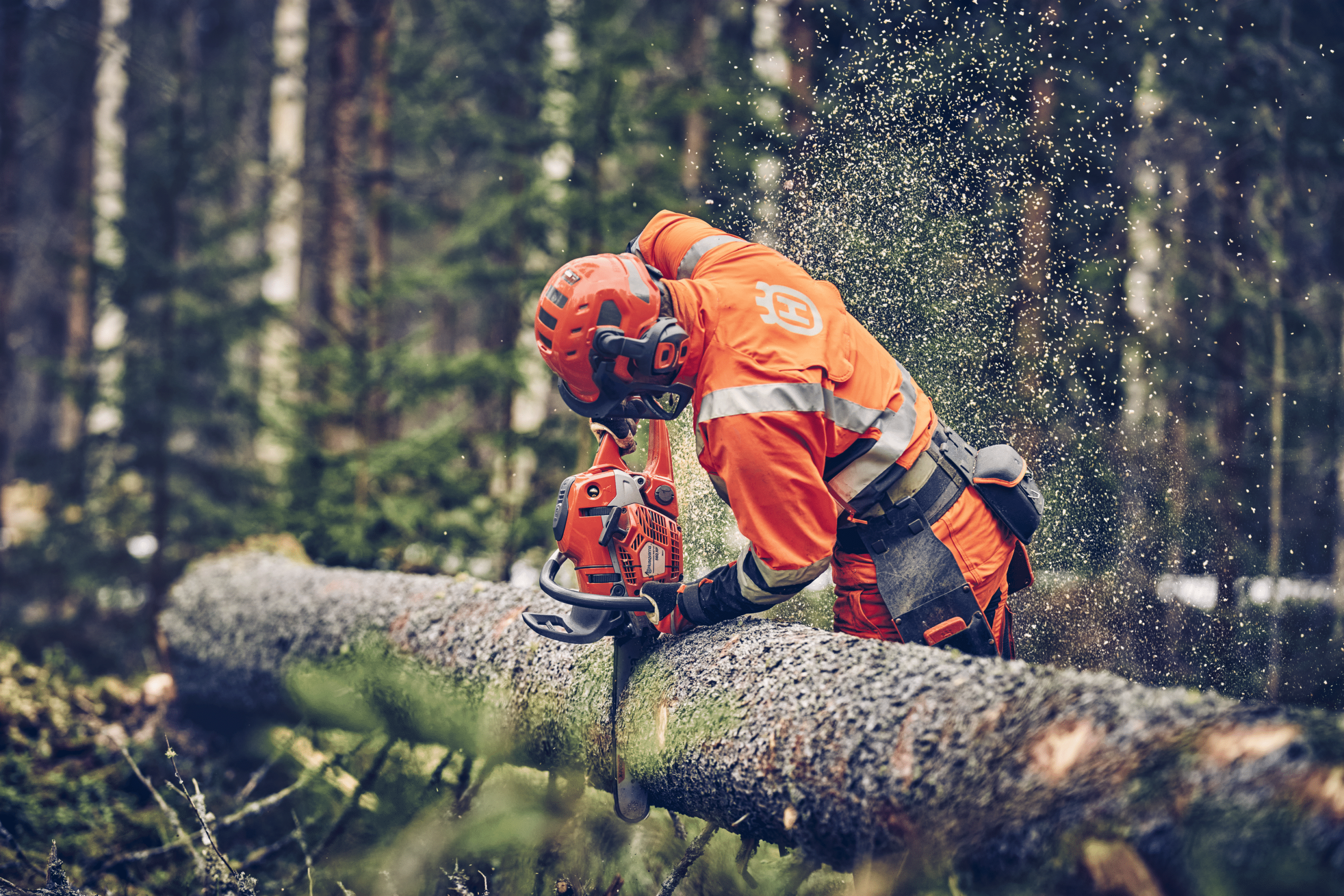 Husqvarna Chaîne X-CUT C35 .325 / 1,5 mm 56 maillons — photo 4